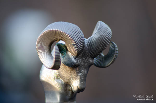 Ram